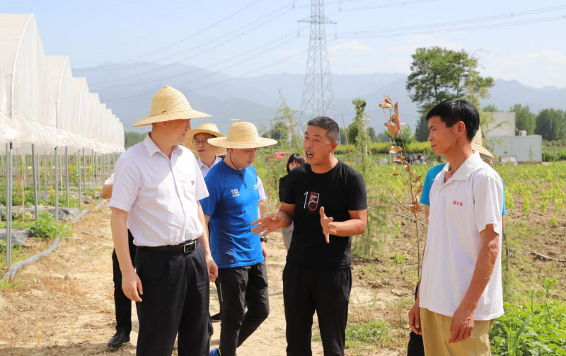 王涛深入高新区九峰镇3个村 调研“百企帮百村”帮扶事情 -  pg电子
