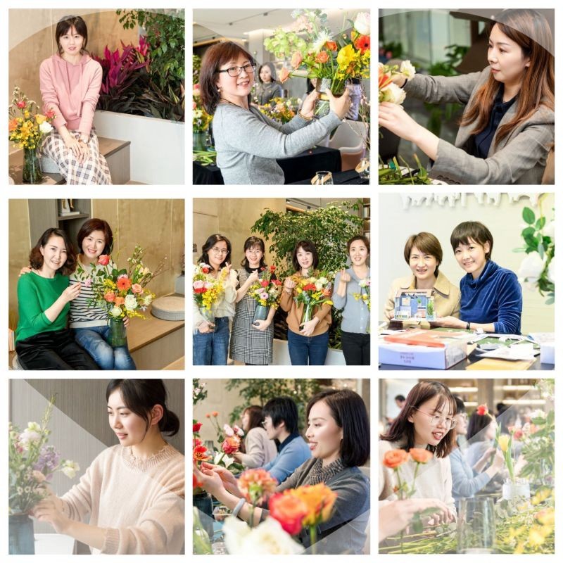 春光致敬  优美如你 -  pg电子